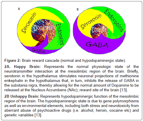addiction-research-experimental-hypodopaminergic-state