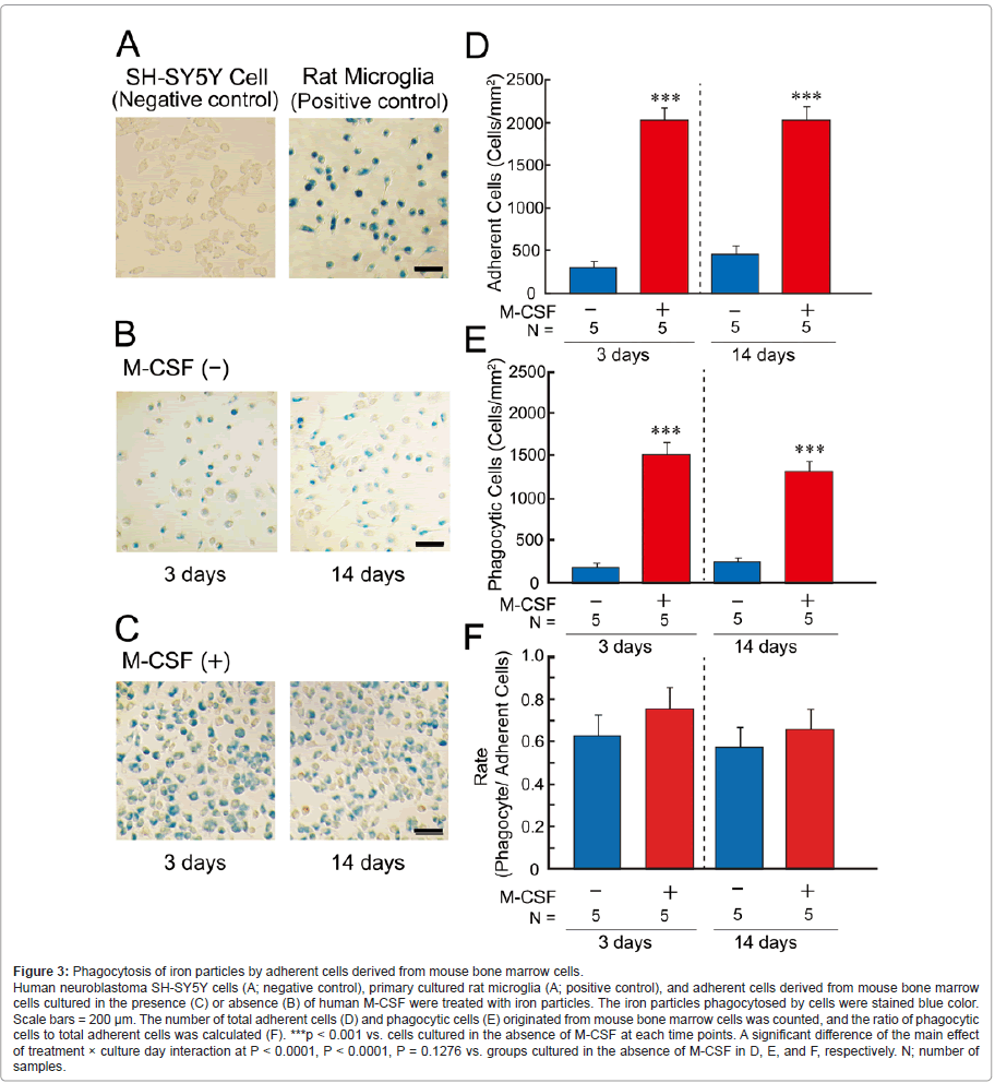 addiction-research-experimental-iron-particles
