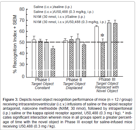 addiction-research-experimental-naloxone-methiodide