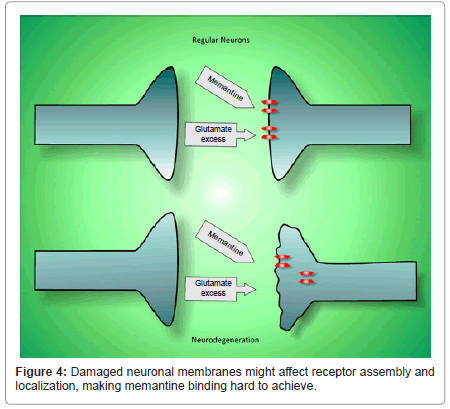 addiction-research-experimental-neuronal-membranes
