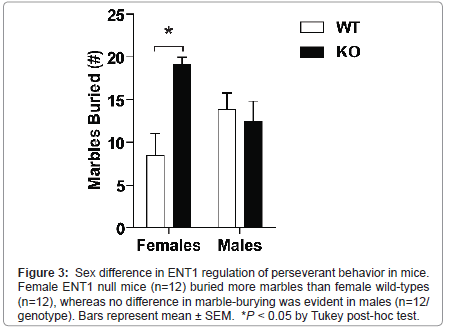 addiction-research-experimental-perseverant-behavior