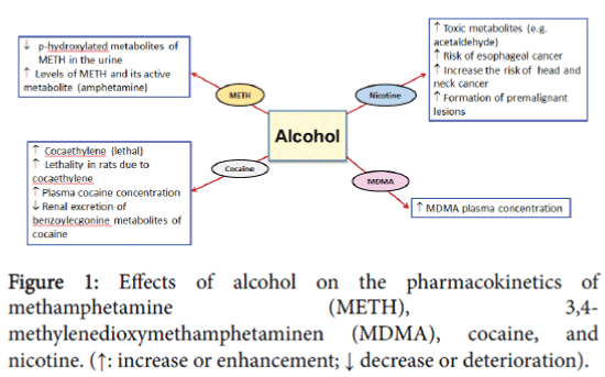 addiction-research-therapy-pharmacokinetics-methamphetamine