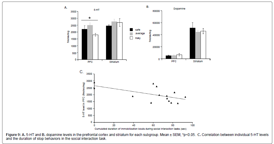 addiction-research-experimental-prefrontal-cortex
