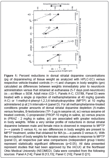 addiction-research-experimental-striatal-dopamine