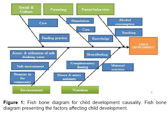 Holistic Child Development Chart