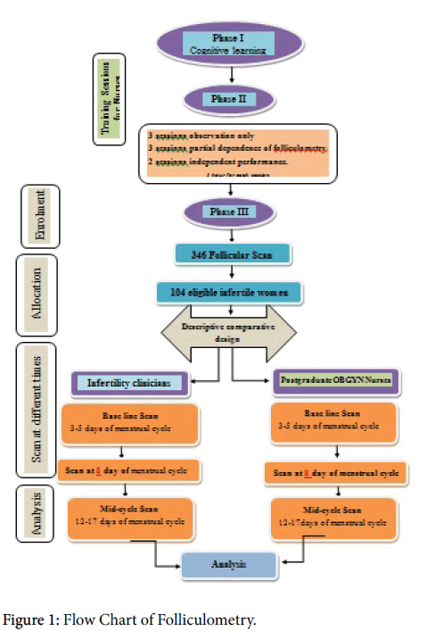 Follicular Study Chart