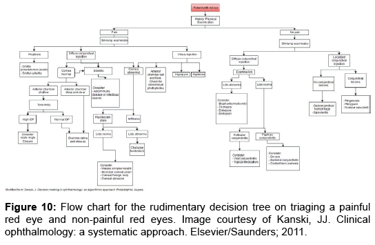 Eye Flow Chart