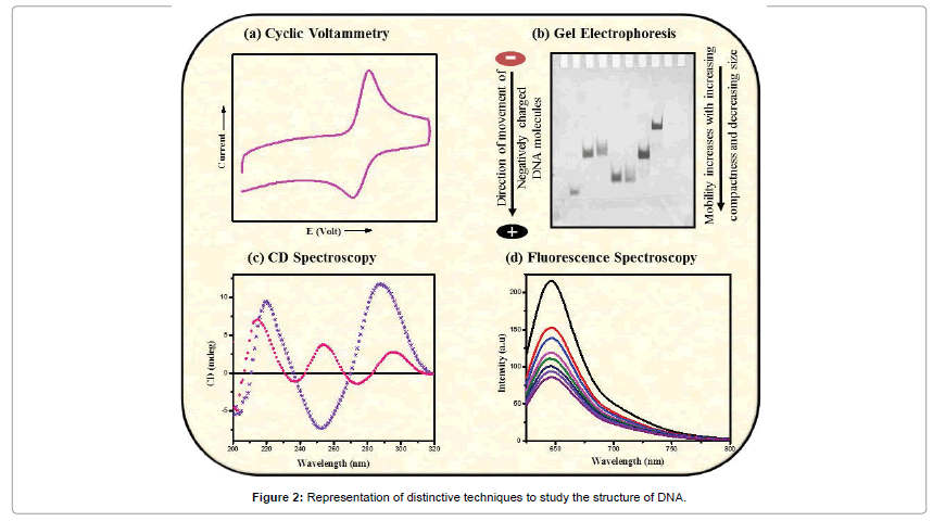 cd spectroscopy