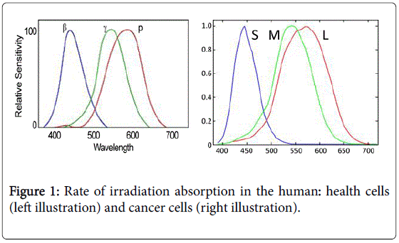 advances-cancer-prevention-irradiation-absorption
