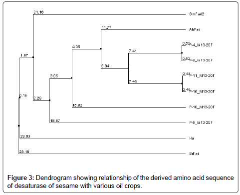 advances-crop-science-Dendrogram