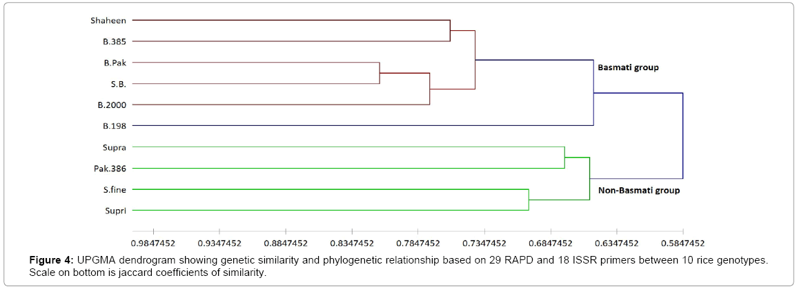 advances-crop-science-and-technology-29-RAPD-18-ISSR