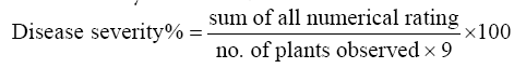 Equation