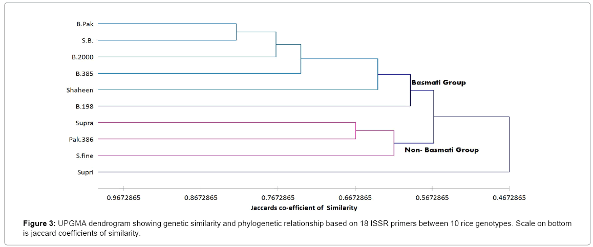 advances-crop-science-and-technology-genetic-similarity