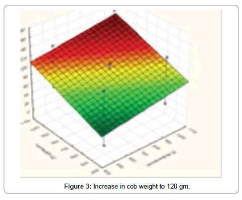 advances-crop-science-cob-weight
