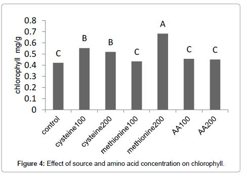advances-crop-science-effect-chlorophyll
