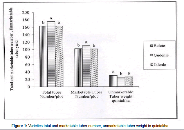 advances-crop-science-marketable-tuber-number