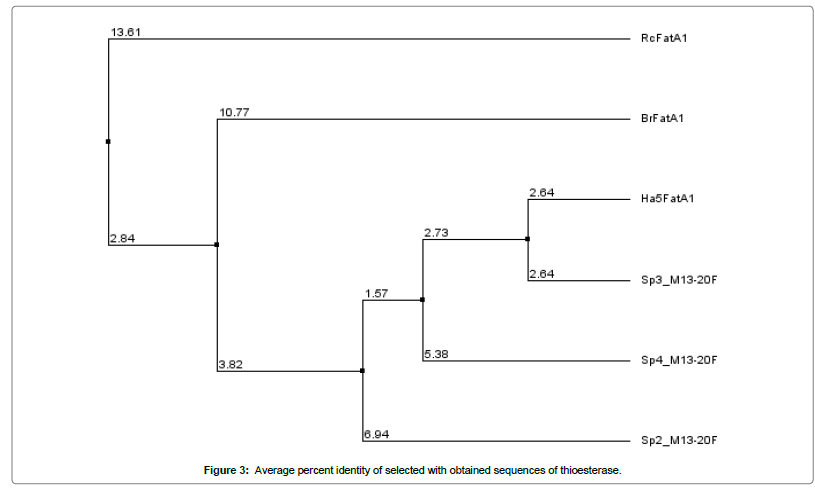 advances-crop-science-technology-degenerate-primers-thioesterase