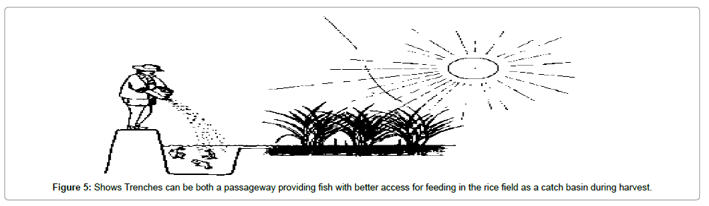 advances-crop-science-technology-passageway