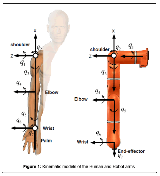 closed form inverse kinematic solution for anthropomorphic motion in