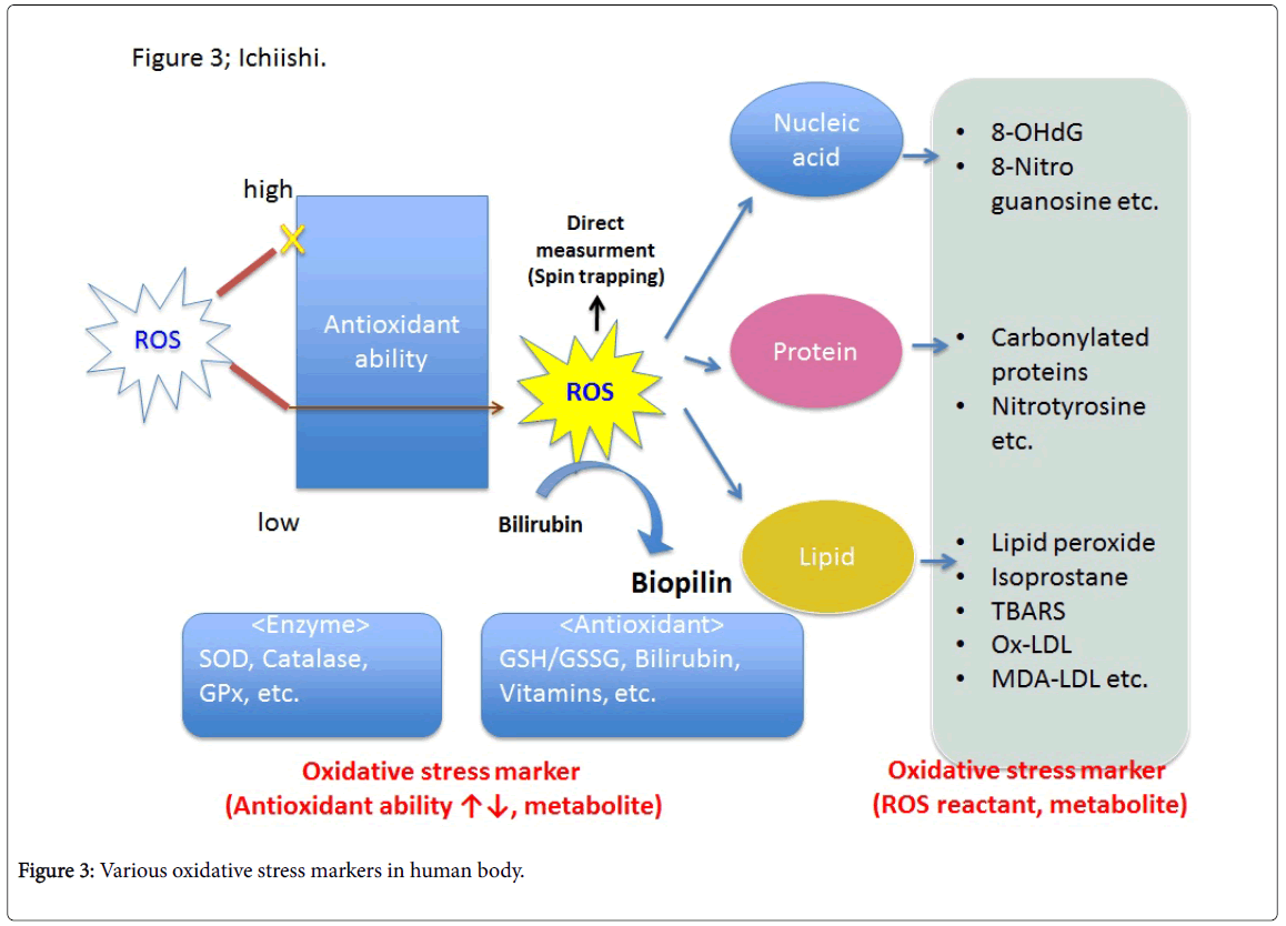 free molecular ecology of rhizosphere microorganisms