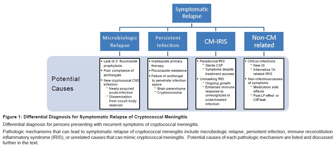 meningitis diagnosis