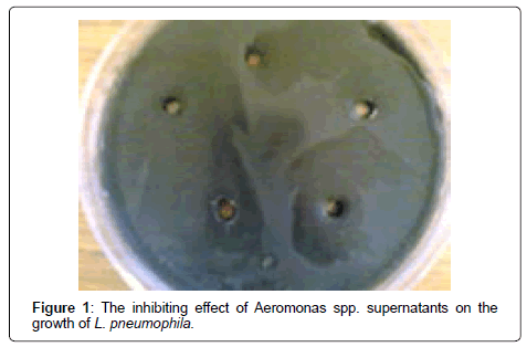 air-water-borne-diseases-inhibiting