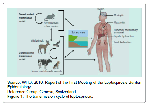 air-water-borne-diseases-transmission