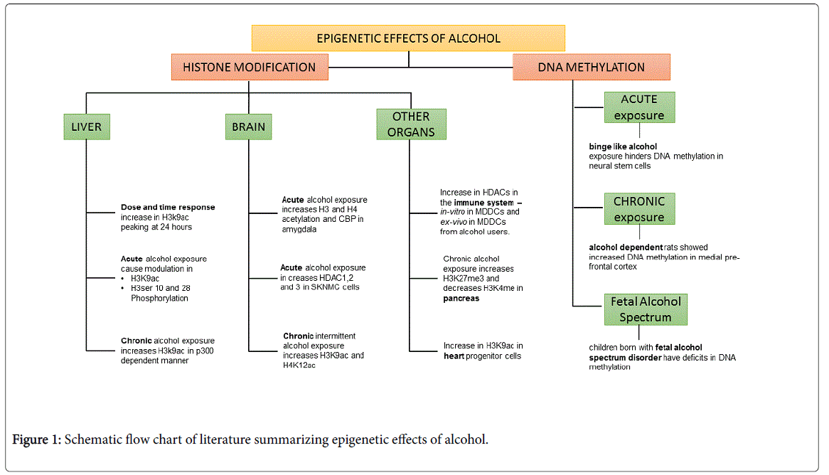 alcoholism is a chronic disease essay alcoholism is a chronic disease essay