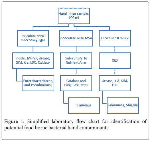 Foodborne Pathogens Chart