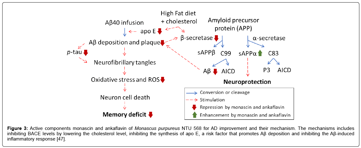 alzheimers-disease-parkinsonism-Active-components