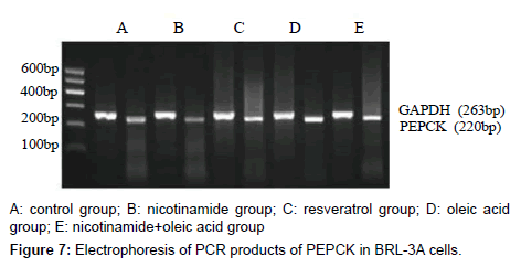 alzheimers-disease-parkinsonism-Electrophoresis
