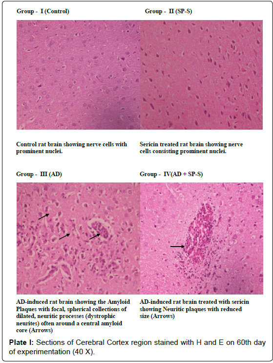 alzheimers-disease-parkinsonism-Experimental-groups