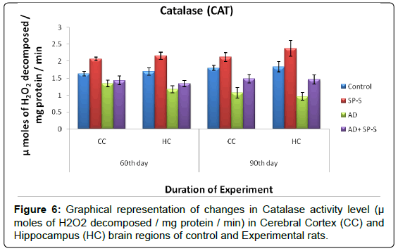 alzheimers-disease-parkinsonism-Experimental-rats