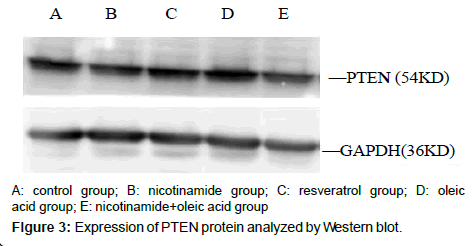 alzheimers-disease-parkinsonism-Expression