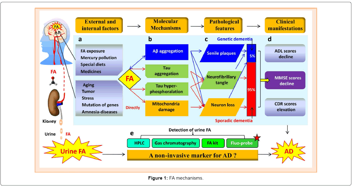 alzheimers-disease-parkinsonism-FA-mechanisms