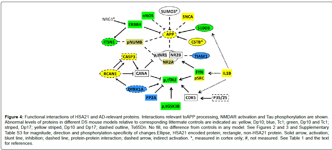 alzheimers-disease-parkinsonism-Functional-interactions