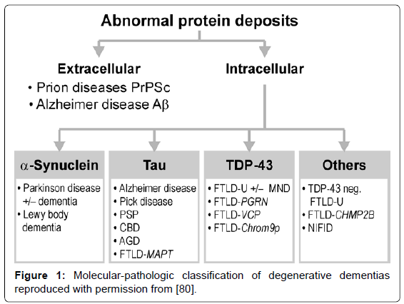 alzheimers-disease-parkinsonism-Molecular-pathologic