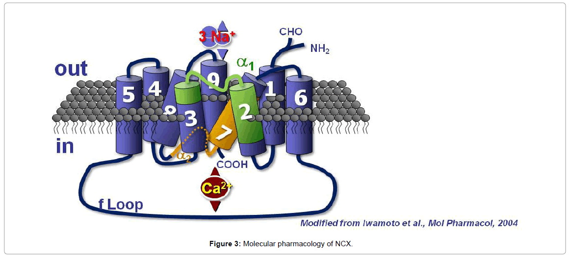 alzheimers-disease-parkinsonism-Molecular-pharmacology