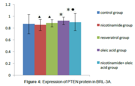 alzheimers-disease-parkinsonism-PTEN-protein