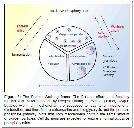 alzheimers-disease-parkinsonism-Pasteur-Warburg