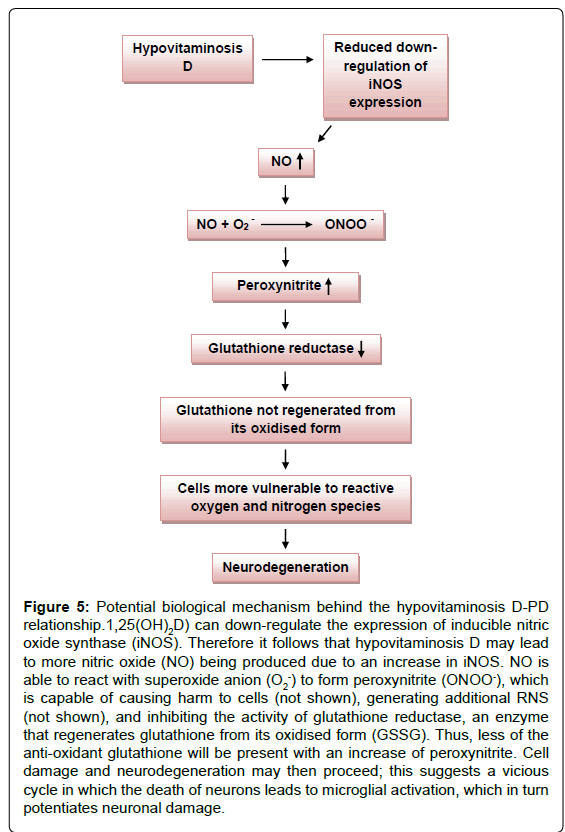 alzheimers-disease-parkinsonism-Potential-biological