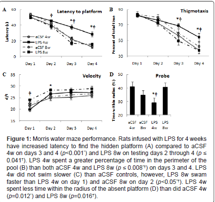 alzheimers-disease-parkinsonism-Rats-infused