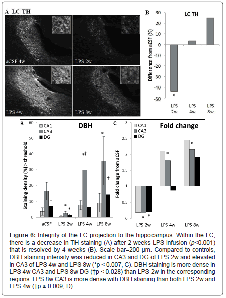 alzheimers-disease-parkinsonism-Scale-bar