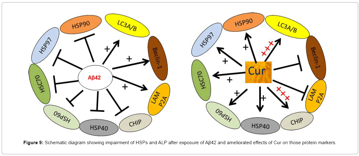 alzheimers-disease-parkinsonism-ameliorated-effects