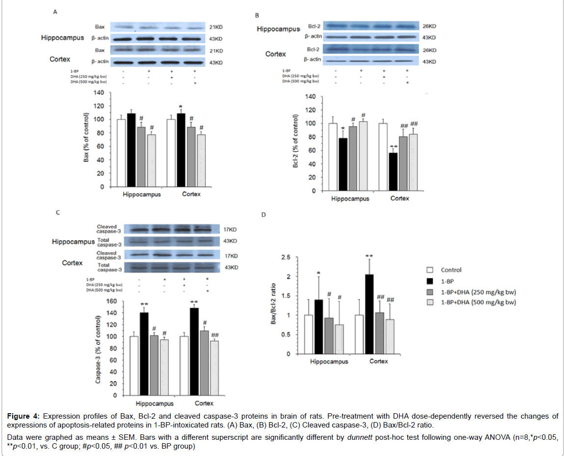 alzheimers-disease-parkinsonism-apoptosis-related