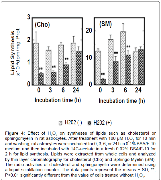 alzheimers-disease-parkinsonism-chromatography-cholesterol