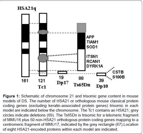 alzheimers-disease-parkinsonism-classical-protein