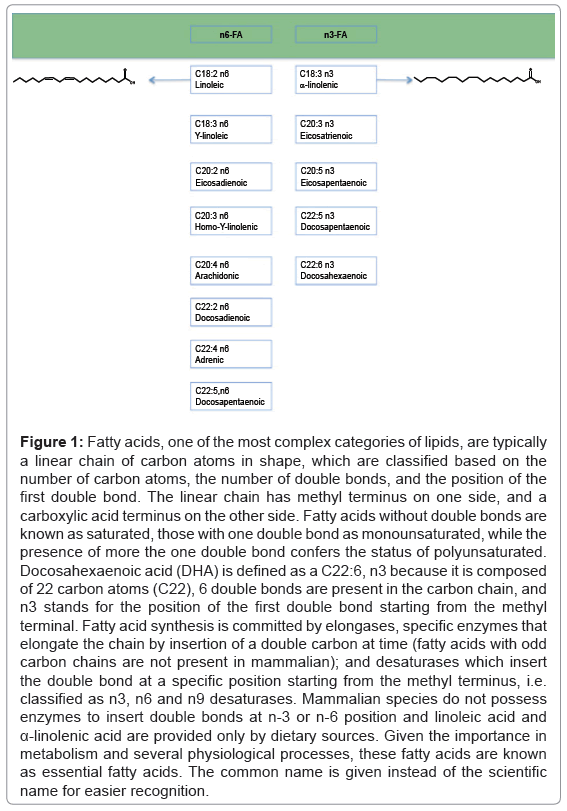 alzheimers-disease-parkinsonism-complex-categories