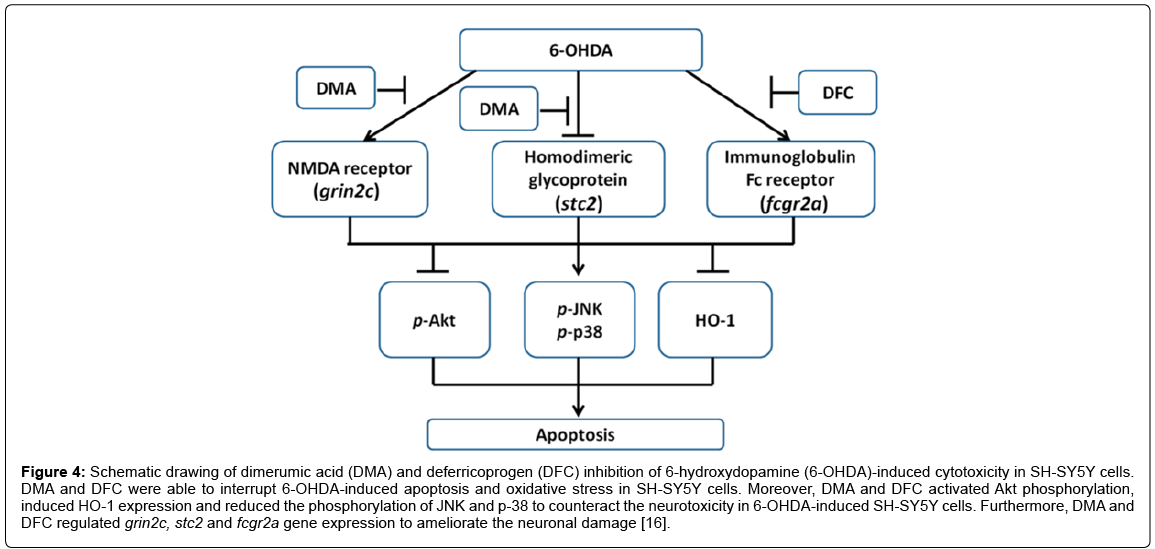 alzheimers-disease-parkinsonism-deferricoprogen