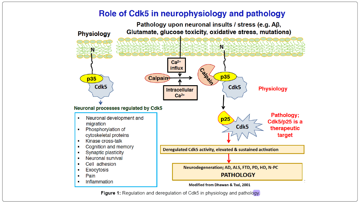 alzheimers-disease-parkinsonism-deregulation